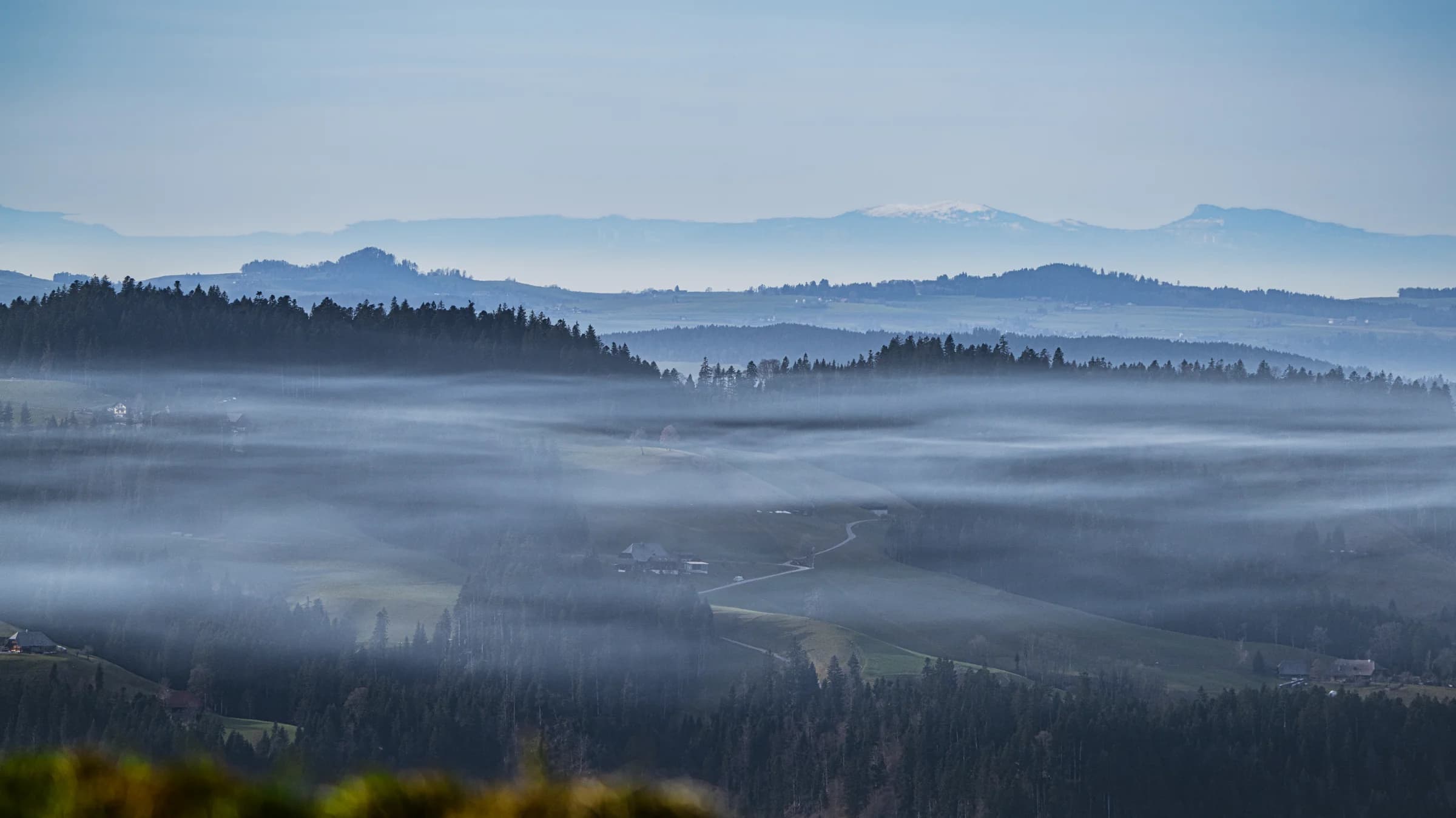 Mistlagen drijven door het landschap — onderstroom zichtbaar gemaakt